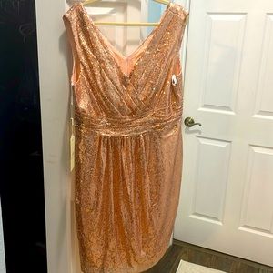 Dress. New. Size 12.